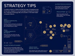 Tactics: Coursework summary