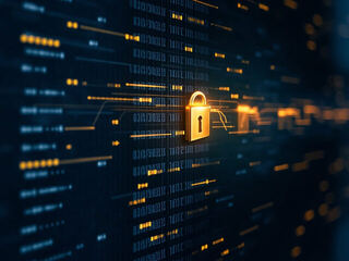 Privacy Charter: Empire summary