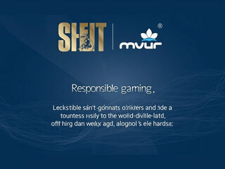 Responsible Gaming Charter summary